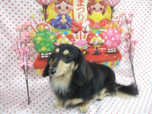 マリーちゃん