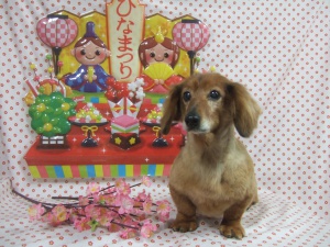 ももちゃん
