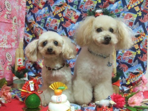りゅうくん＆トラくん
