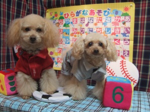 とらのすけ＆りゅうのしん