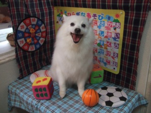 ふくちゃん