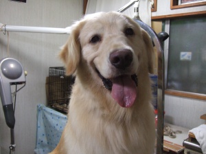 まりちゃん