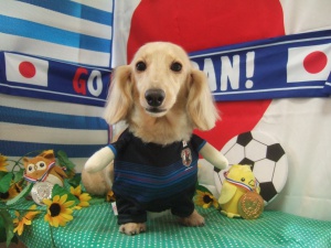 マリーちゃん