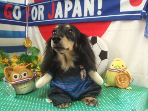 スリンキーくん