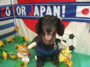 りくくん