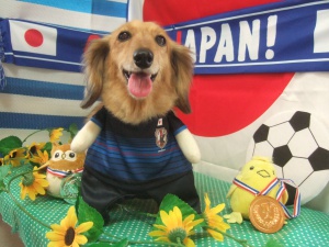 ももちゃん