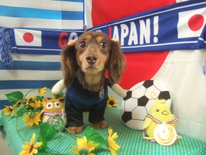 ももちゃん