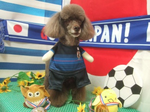 ボビーくん