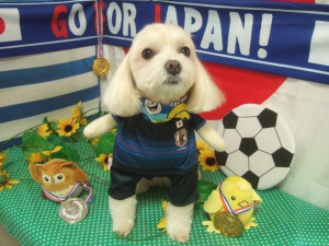 ピノくん