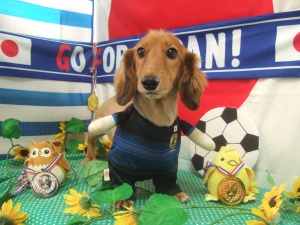マリーちゃん