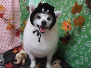 ラヴくん
