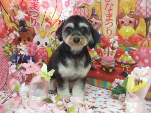 クロエちゃん