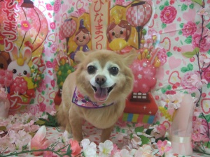 小力くん