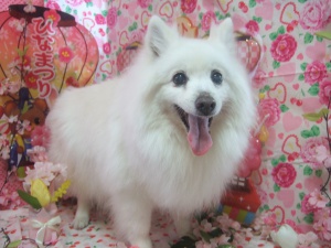 ウランちゃん