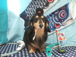 マリーちゃん