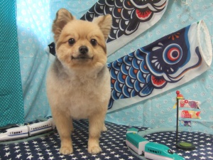 さくらちゃん