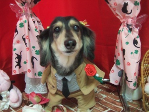 ミントくん