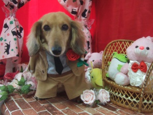 忠吉くん