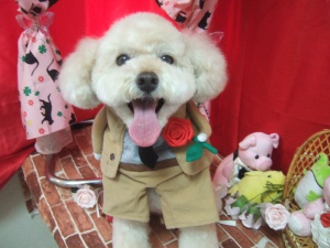 くぅくん