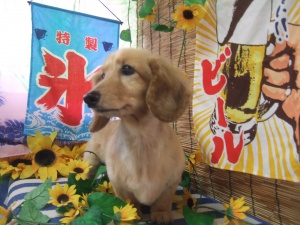 ララちゃん