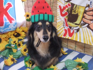 マリーちゃん