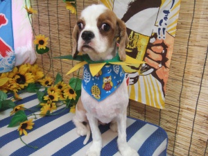 JOYくん