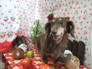 忠吉くん