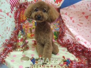 リリーちゃん