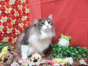 ジョンくん