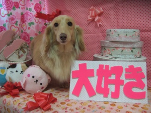 りんちゃん