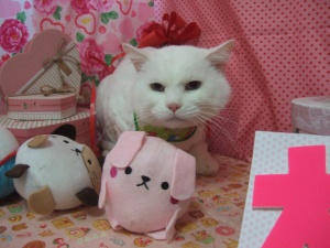 シフォンくん