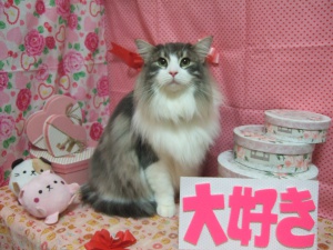 ジョンくん