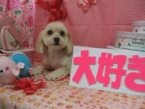 ふくちゃん