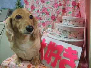 りんごちゃん