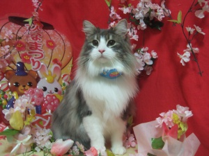 ジョンくん