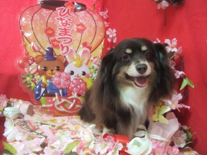 あさりちゃん