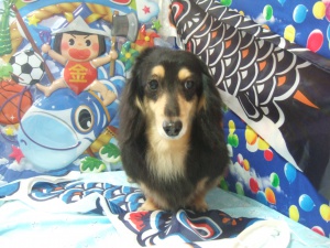 マリーちゃん