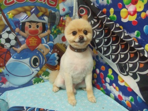 レオンくん