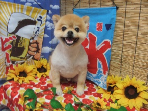 ふうたくん