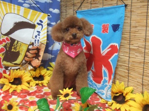 パールちゃん
