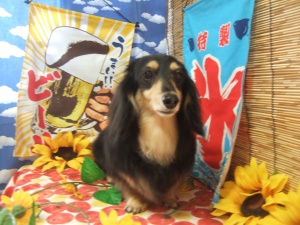 マリーちゃん