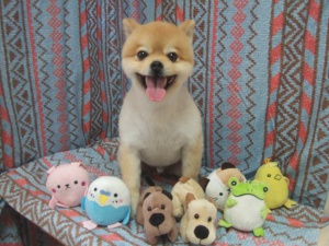 ふうたくん
