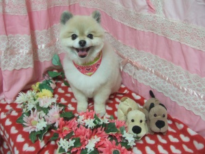しじみちゃん