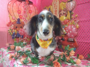イブくん