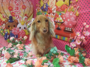 りんちゃん