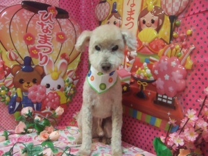 アトムくん