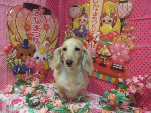 マロンちゃん