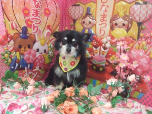 プルくん