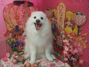 ユキちゃん