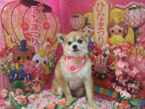 ユキちゃん